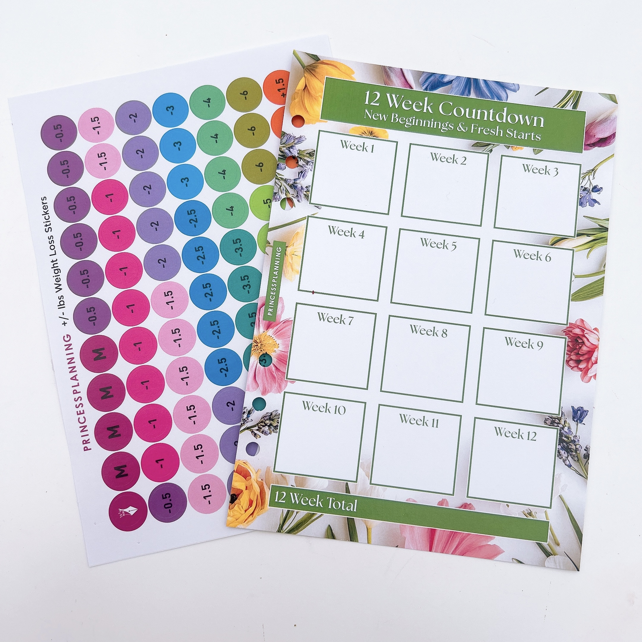 12 Week Countdown Insert & Stickers New Beginnings