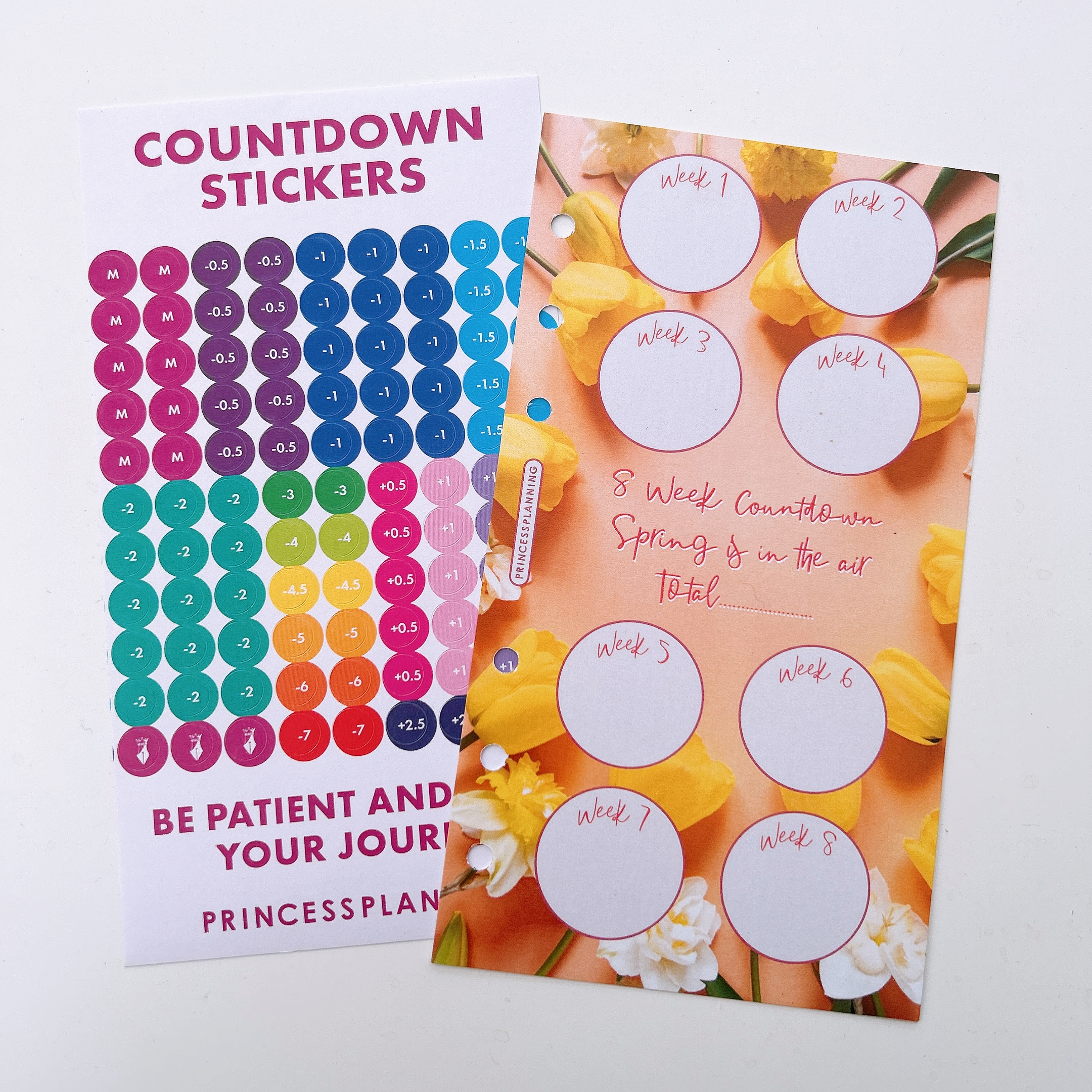 Petite Planner - 8 Week Countdown with Stickers - Spring is in the air