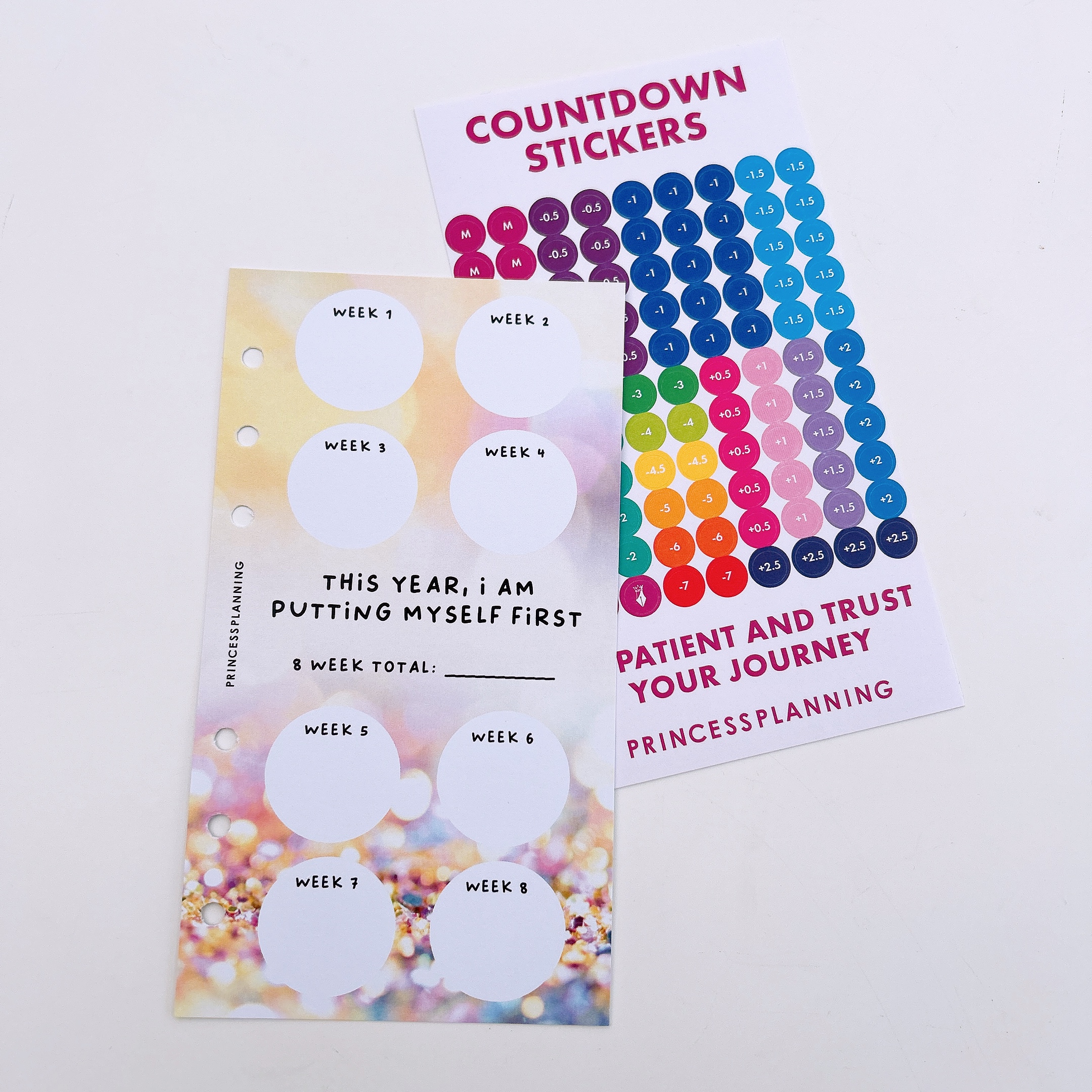 Petite Planner - 8 Week Countdown with Stickers - This year