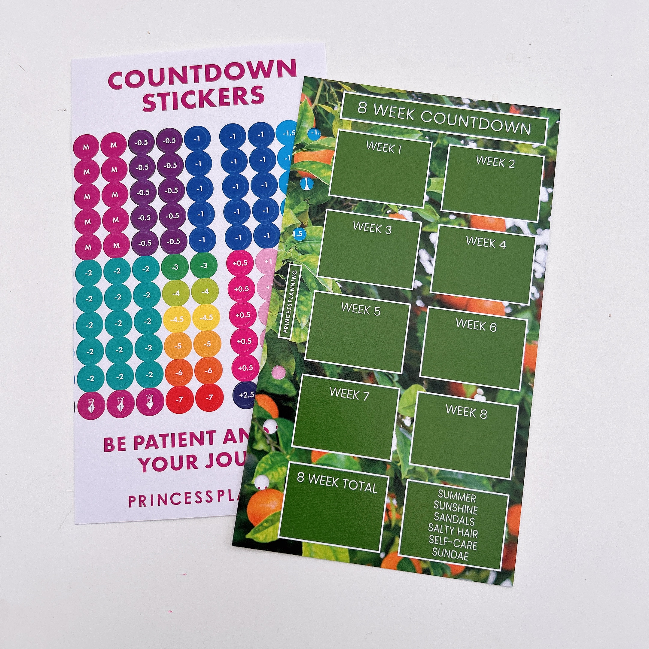 Petite Planner - 8 Week Countdown with Stickers - Summer,