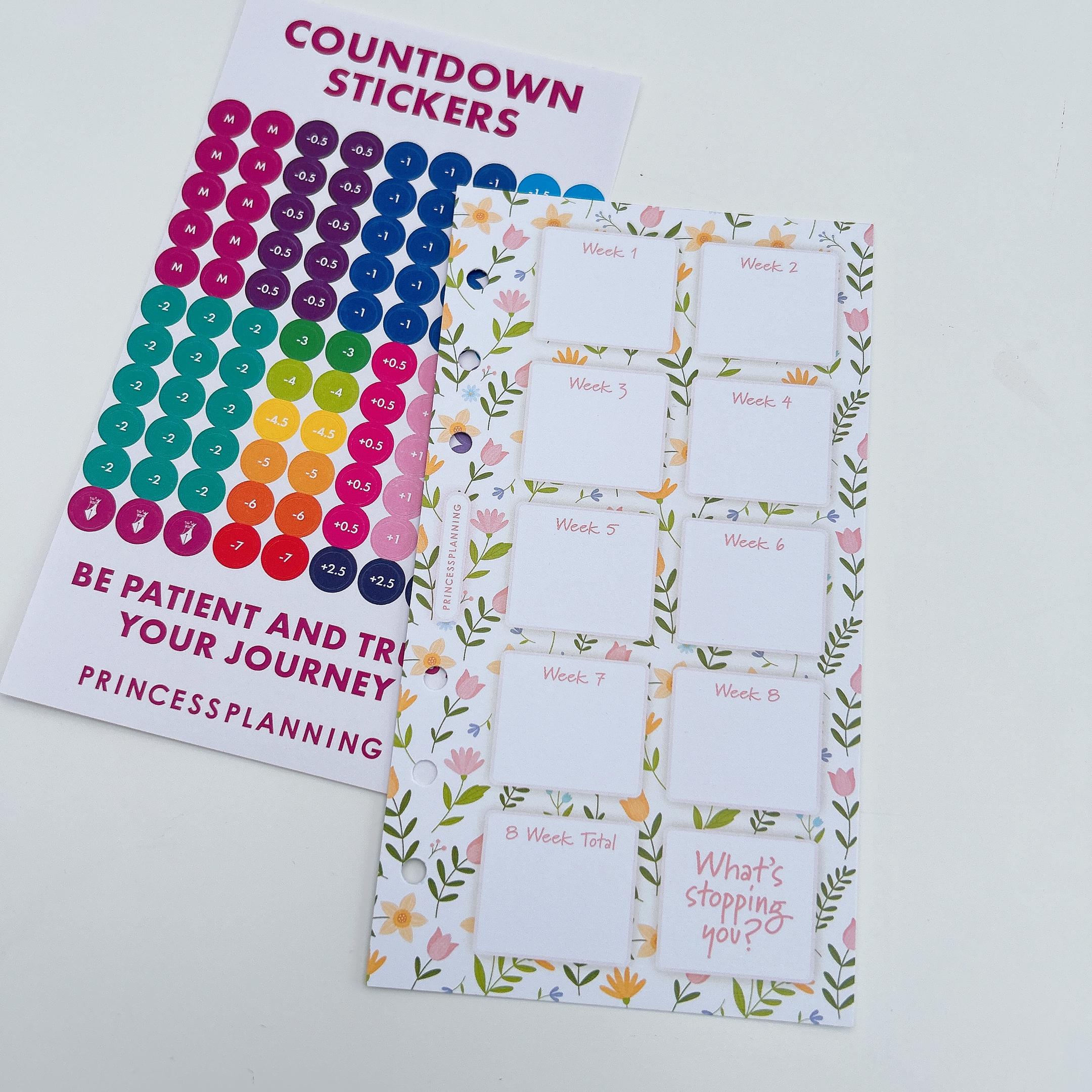 Petite Planner - 8 Week Countdown with Stickers - What's Stopping you?