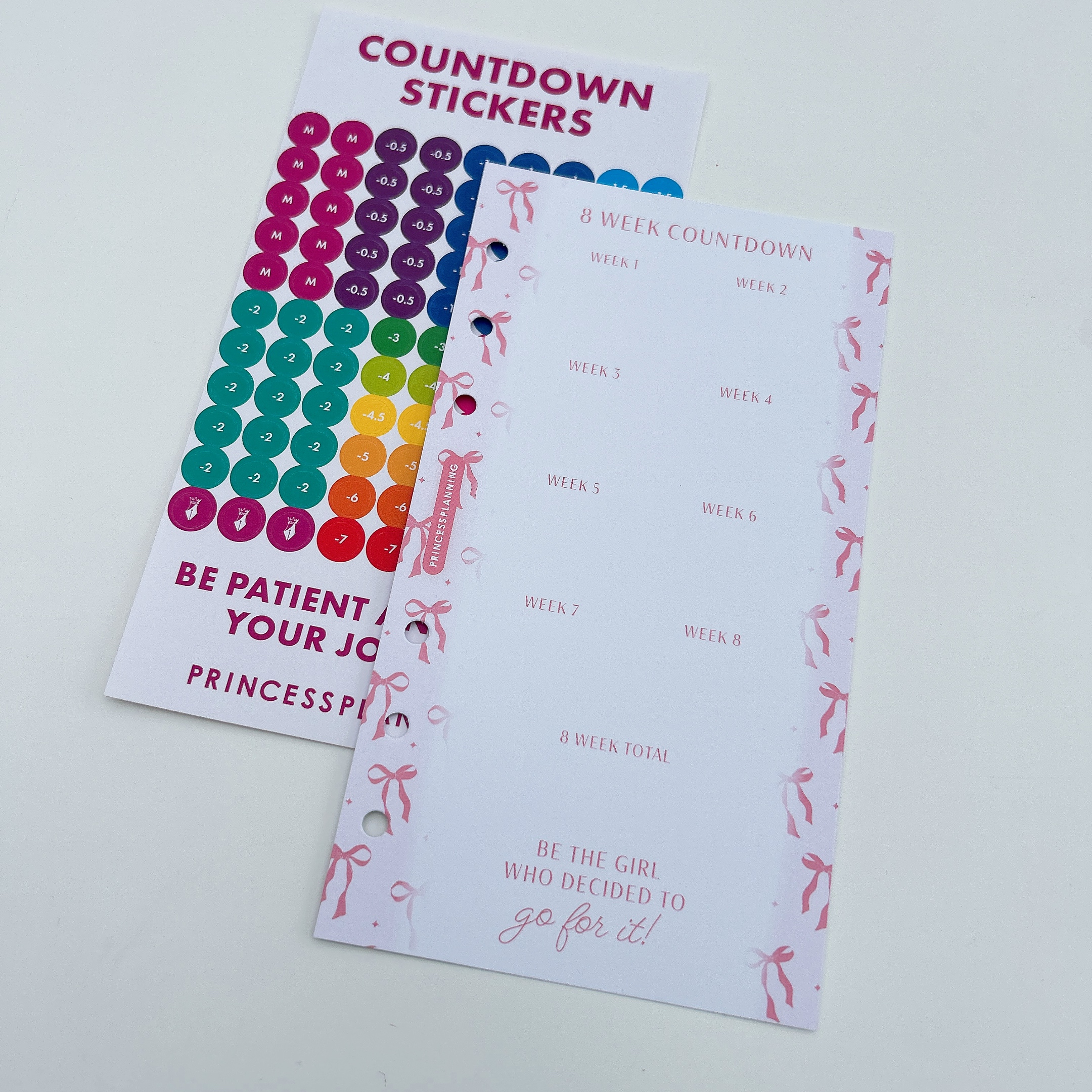 Petite Planner - 8 Week Countdown with Stickers - Pink Bow
