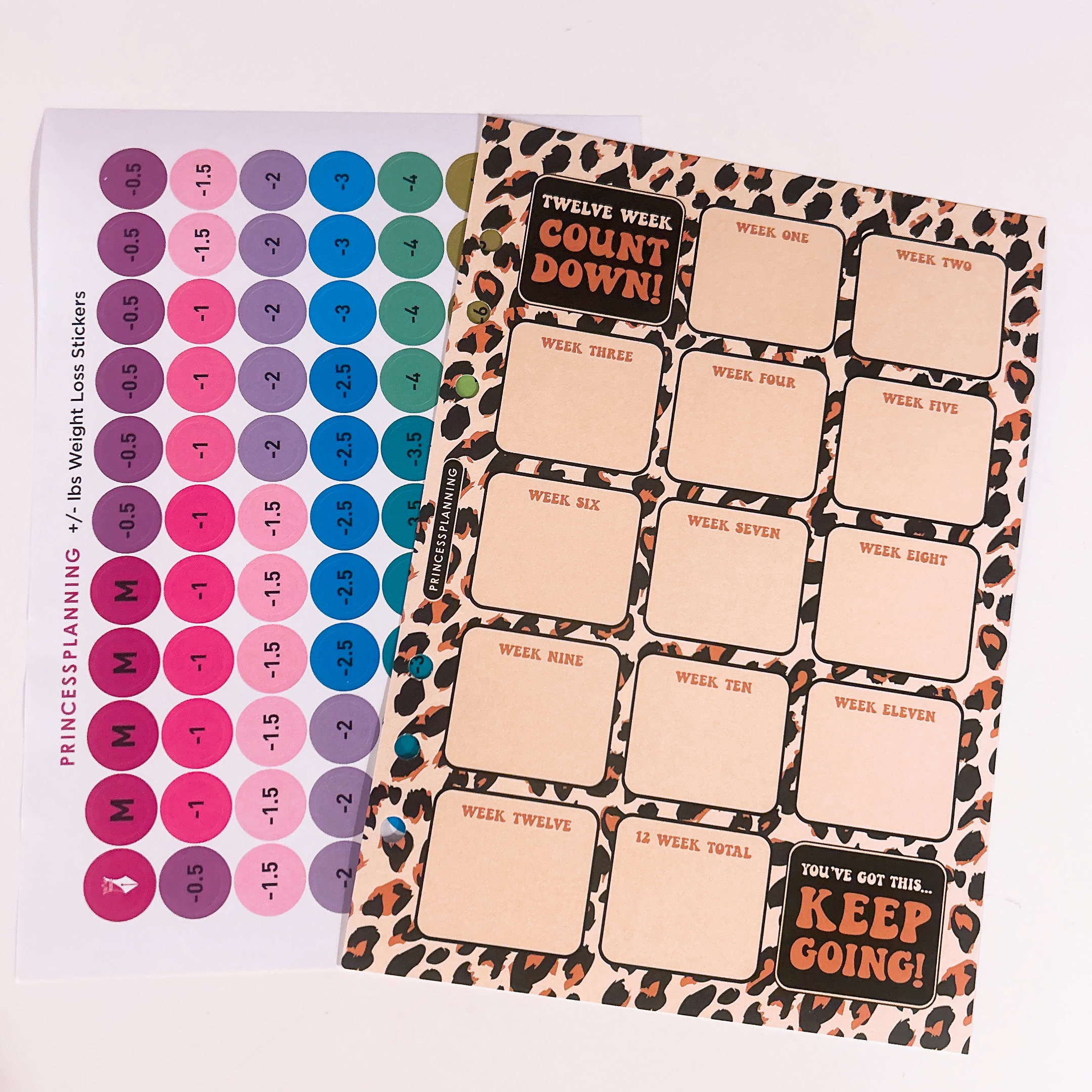 12 Week Countdown Insert & Stickers Keep Going
