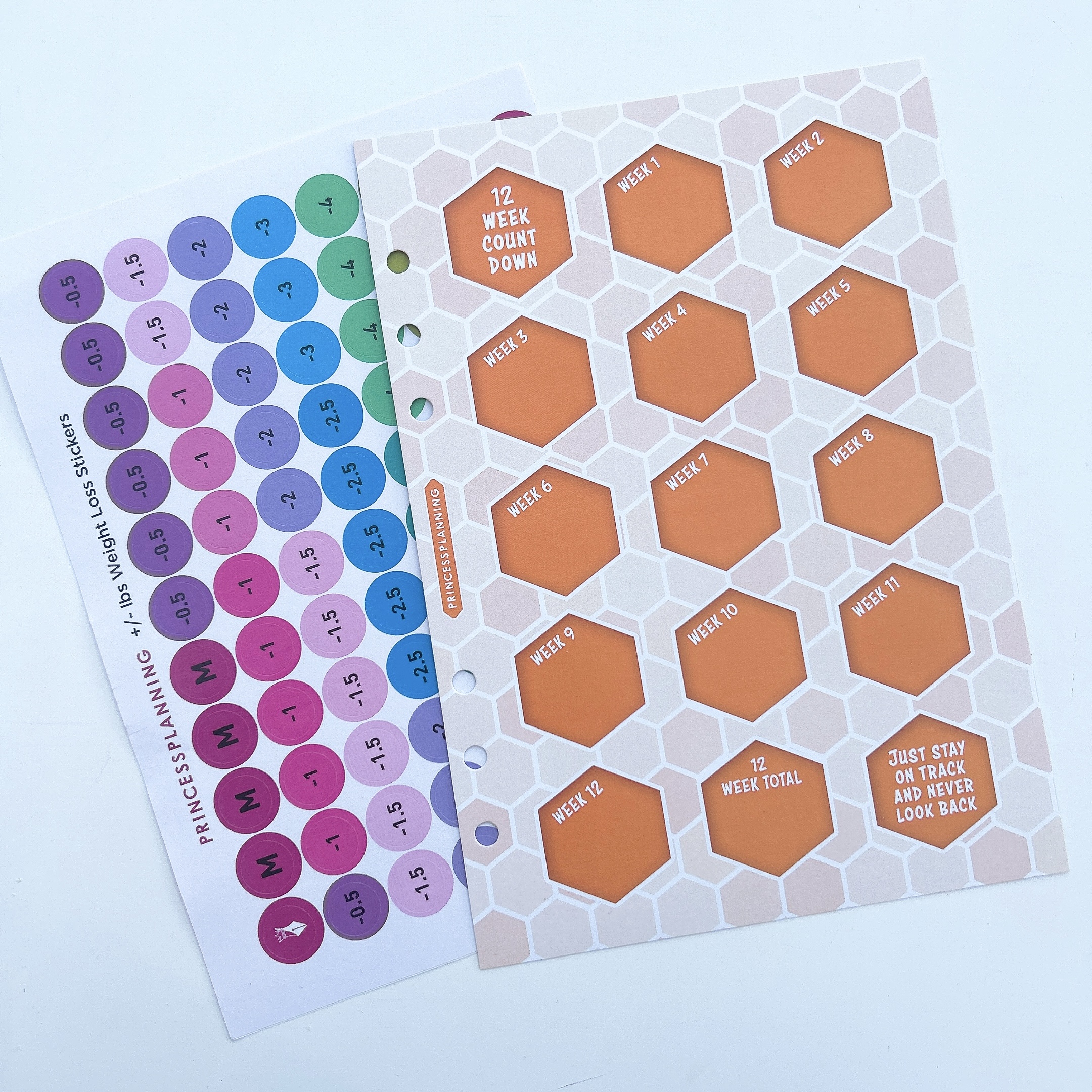 Countdown Stickers Samples 12 Week Countdown Insert & Stickers Just Stay On Track