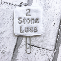 2 Stone Loss Planner Clip
