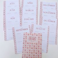Grande Mid Year / Academic Pink Cherry Bow Dated Diary 26/27 Insert