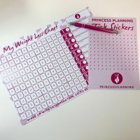 Christmas Spiral Food Diary Starter Bundle  Snowman 