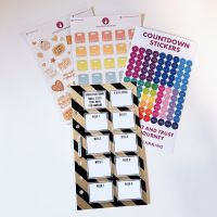 New Year Petite 8 Week Food Diary Bundle Refill - Small Steps 