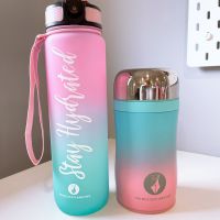 The Bubblegum Duo - Tracker Bottle and Insulated Food Flask