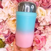 Princess Planning Bubblegum Blue Pink Ombre Insulated Food Flask